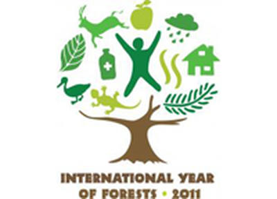 2011 год — Международный год Лесов