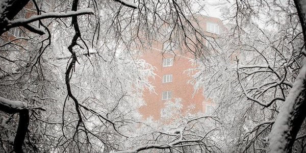 В начале февраля интенсивных снегопадов в Приморье не ожидается