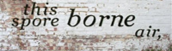 На московских зданиях появятся граффити из мха