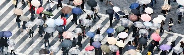 Тайфун «Миндуль» парализовал транспорт в Японии