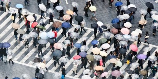 Тайфун «Миндуль» парализовал транспорт в Японии