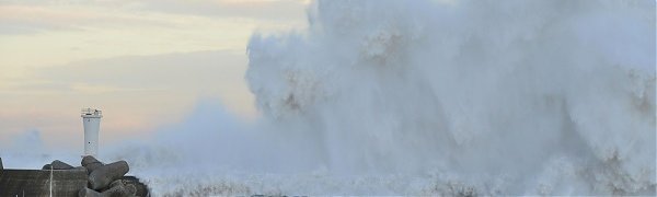 Тайфун «Дельфин» ослаб по пути к Японии