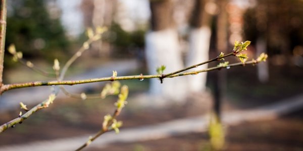 В среду циклон покинет Приморье