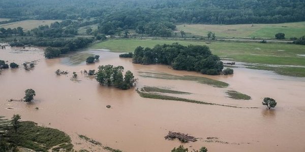 Тайфуны в Приморье затопили более 14 тысяч гектаров сельхозземель