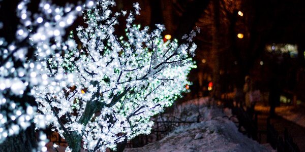 Синоптики уточнили прогноз погоды на последние выходные декабря в Приморье