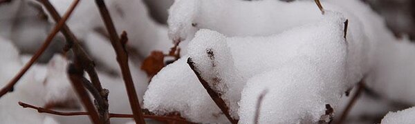 Небольшой снег пройдет в центральных районах Приморья в пятницу