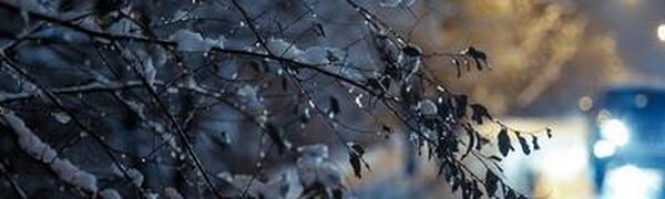 Снег с дождем ожидается во Владивостоке в воскресенье ночью