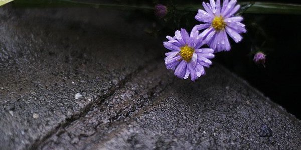 Ночью на северо-востоке Приморья ожидаются заморозки