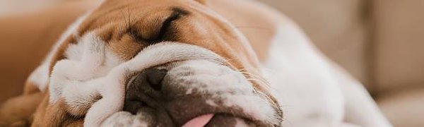 Учёные назвали позу для здорового сна