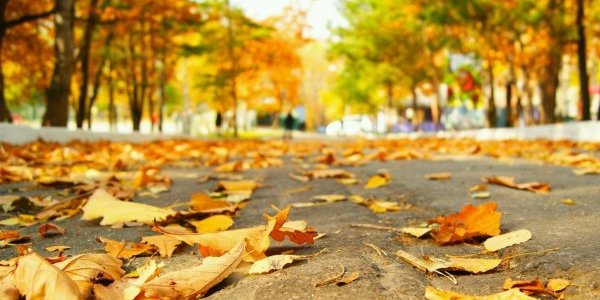 Погода в Хабаровске: осень продолжает своё вторжение