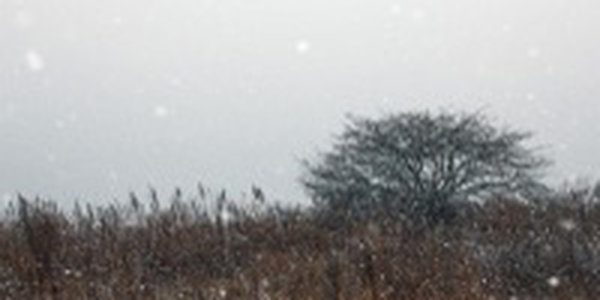 Во Владивостоке выпала декадная норма осадков, а на юге края снежный покров достиг высоты 42 см