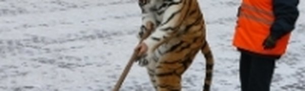 Сделаем город чище: санитарный двухмесячник стартовал