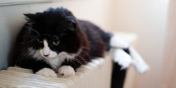 Часть Эгершельда останется на несколько часов без отопления из-за ремонтных работ