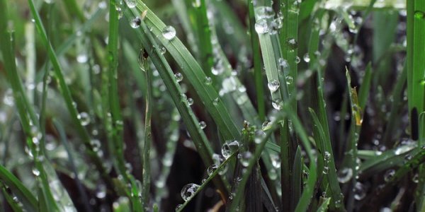 Экс-тропический шторм «Этау» обрушил на Приморье до 2,5 декадной нормы дождя