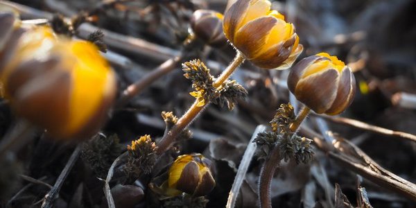 До конца недели в Приморье будет прохладно и ветрено