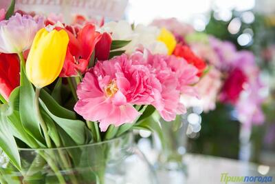 Синоптики рассказали, когда воздух в Приморье прогреется до +10°С