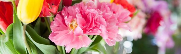 Синоптики рассказали, когда воздух в Приморье прогреется до +10°С