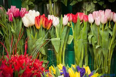 Погода на 8 марта: подробный прогноз для Приморья и Владивостока