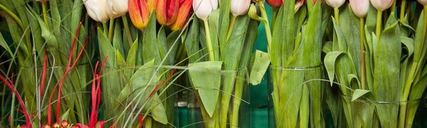 Погода на 8 марта: подробный прогноз для Приморья и Владивостока