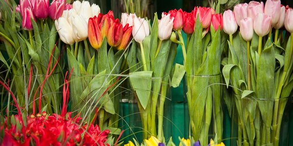 Погода на 8 марта: подробный прогноз для Приморья и Владивостока