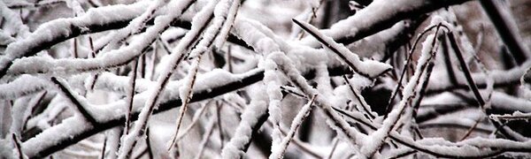 Хроники прохождения глубокого циклона над Приморьем