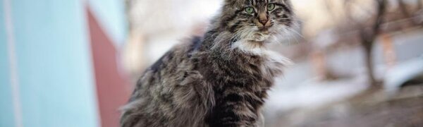 Зима завершилась в Приморье почти весенними температурами