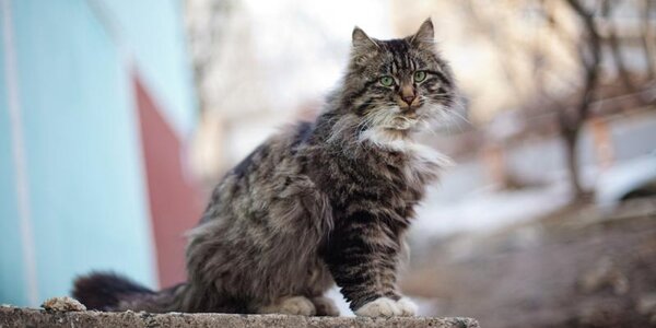 Зима завершилась в Приморье почти весенними температурами