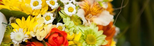 Погода на 8 марта в Приморье и Владивостоке будет праздничной