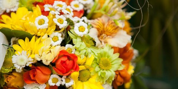 Погода на 8 марта в Приморье и Владивостоке будет праздничной