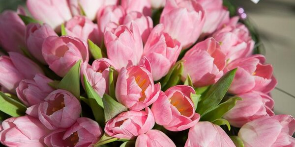 Точный прогноз погоды на праздничные выходные в Приморье подготовили синоптики