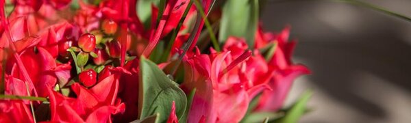 Весна в Приморье началась с теплой погоды