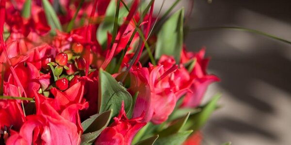 Весна в Приморье началась с теплой погоды