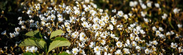 Во второй половине недели воздух в Приморье прогреется до +31 °C