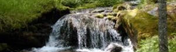 В рамках российско-китайского мониторинга качества вод пройдет второй отбор проб