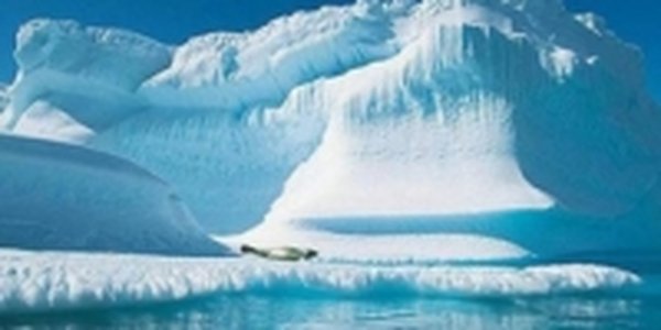 Подтверждена связь между потеплением в Арктике и холодными зимами в Северном полушарии