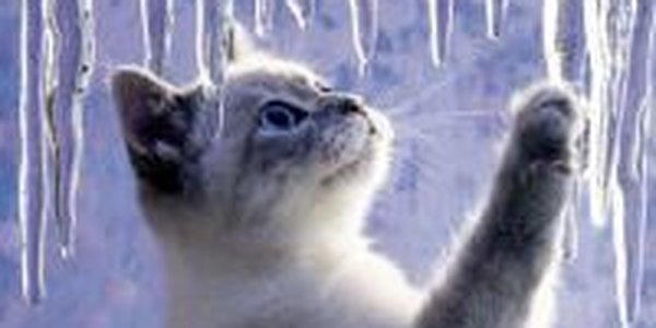 Зима попрощалась с Приморьем теплой погодой