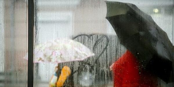 Циклон ударит по Приморью сильным ветром и дождём