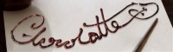 Шоколад — сладкое лекарство