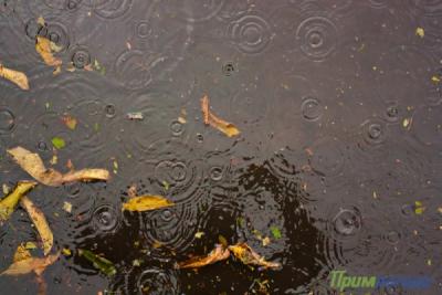 На востоке Приморья идут сильные дожди
