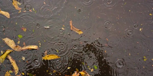 На востоке Приморья идут сильные дожди