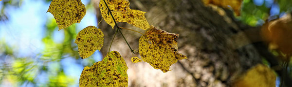 Выходные дни во Владивостоке будут тёплыми, без осадков