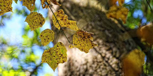 Выходные дни во Владивостоке будут тёплыми, без осадков