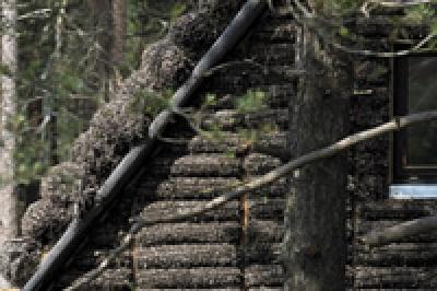 В Дании построили уникальный дом из водорослей