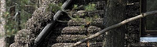 В Дании построили уникальный дом из водорослей