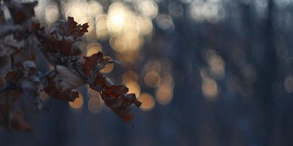 В четверг во Владивостоке осадков не ожидается