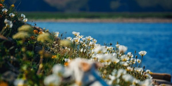 Вторая декада июля в Приморье – теплая и очень влажная