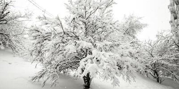 Высота снега в центральных районах Приморья достигает 67 см