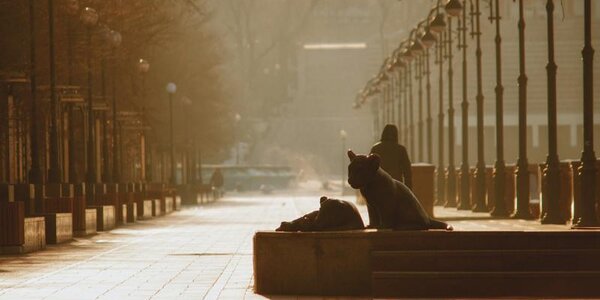 Тепло не по сезону: во Владивостоке +4 °C, ночью пройдёт дождь