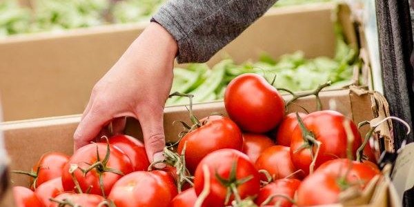 Продуктовая ярмарка развернулась на центральной площади Владивостока