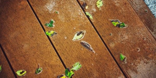 В праздники Приморье ждёт прохладная и дождливая погода